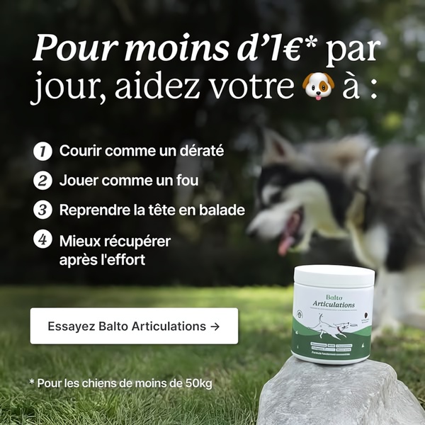 A square ad format for dog supplements using a benefit-oriented list to highlight daily health outcomes and affordability for pet owners.